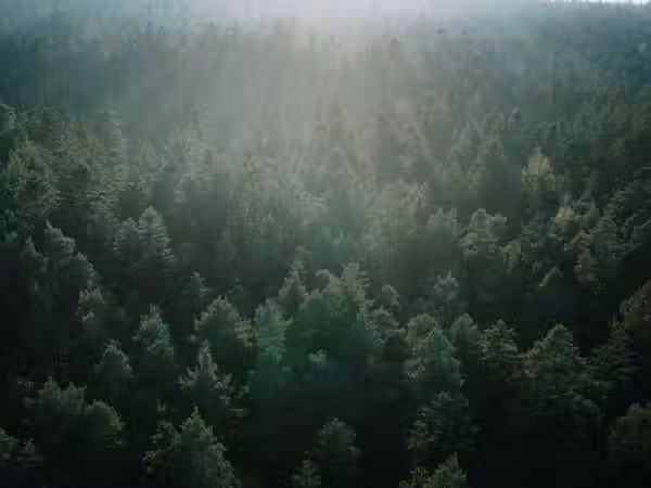 Produkteseite Bild 2