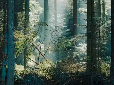 Produkteseite Bild 4-3